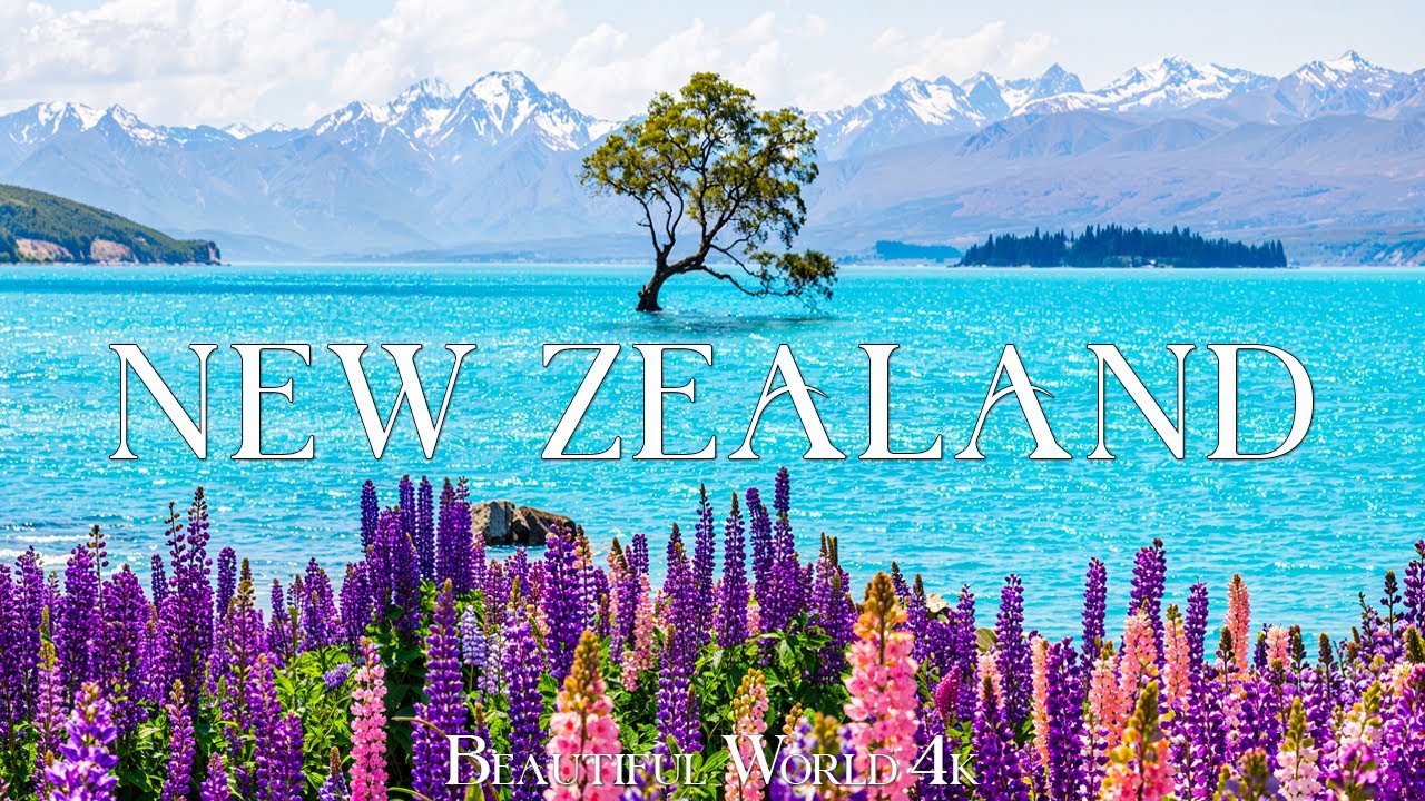 New Zealand 4K &ndash; A Springtime Wonderland: Blooming Lupins and Serene Lake Wanaka &ndash; 4K UHD