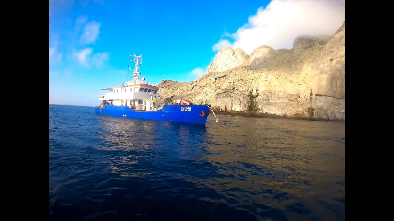 Malpelo Compilation March 2021