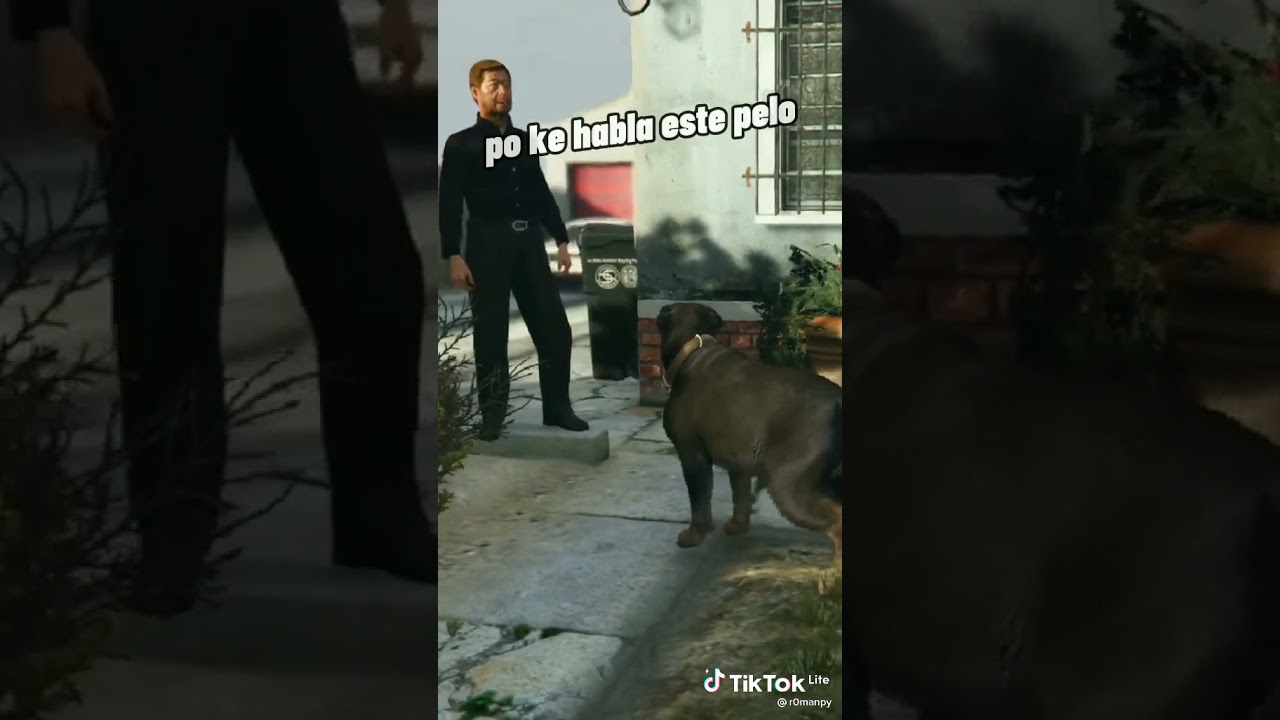 Alexby humilla al chino de marbella
