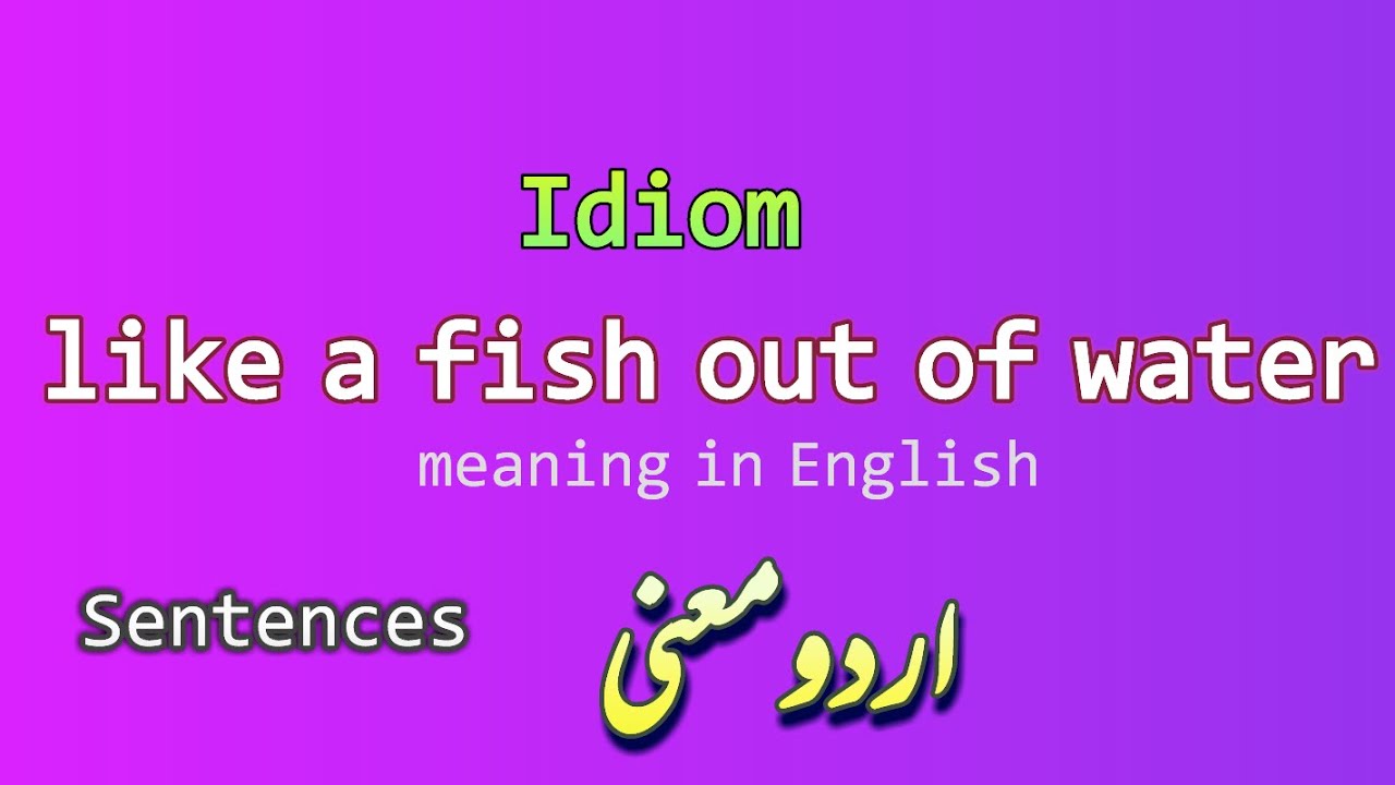 Idioms I like a fish out of water | Meaning in English and Urdu I English Urdu learning |