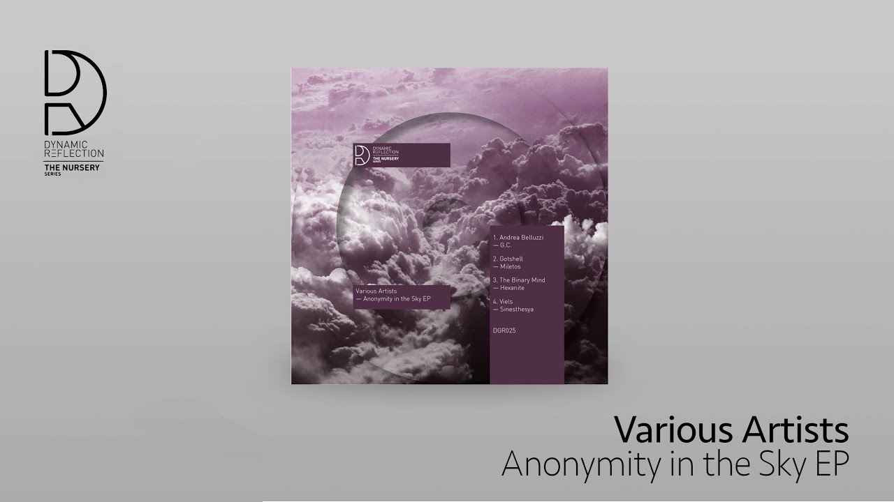 The Binary Mind - Hexanite