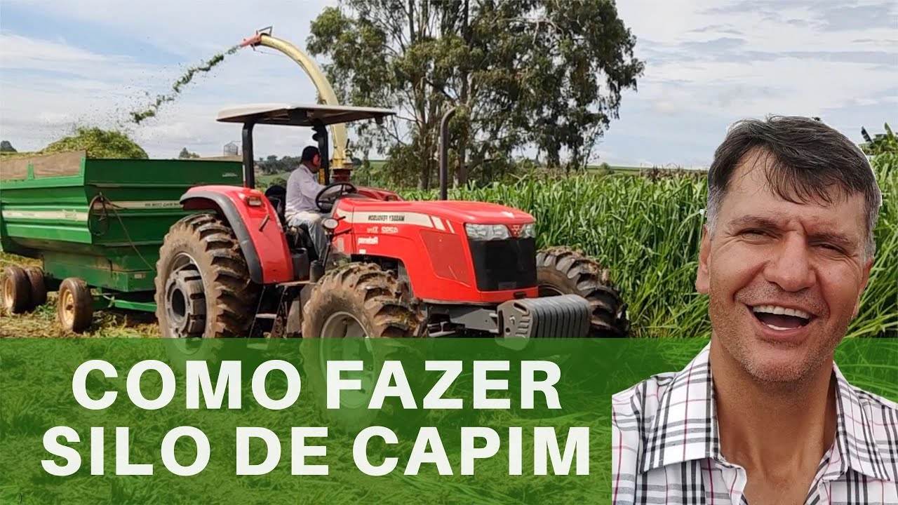 5 DICAS PRA FAZER UM BOM SILO DE CAPIM.