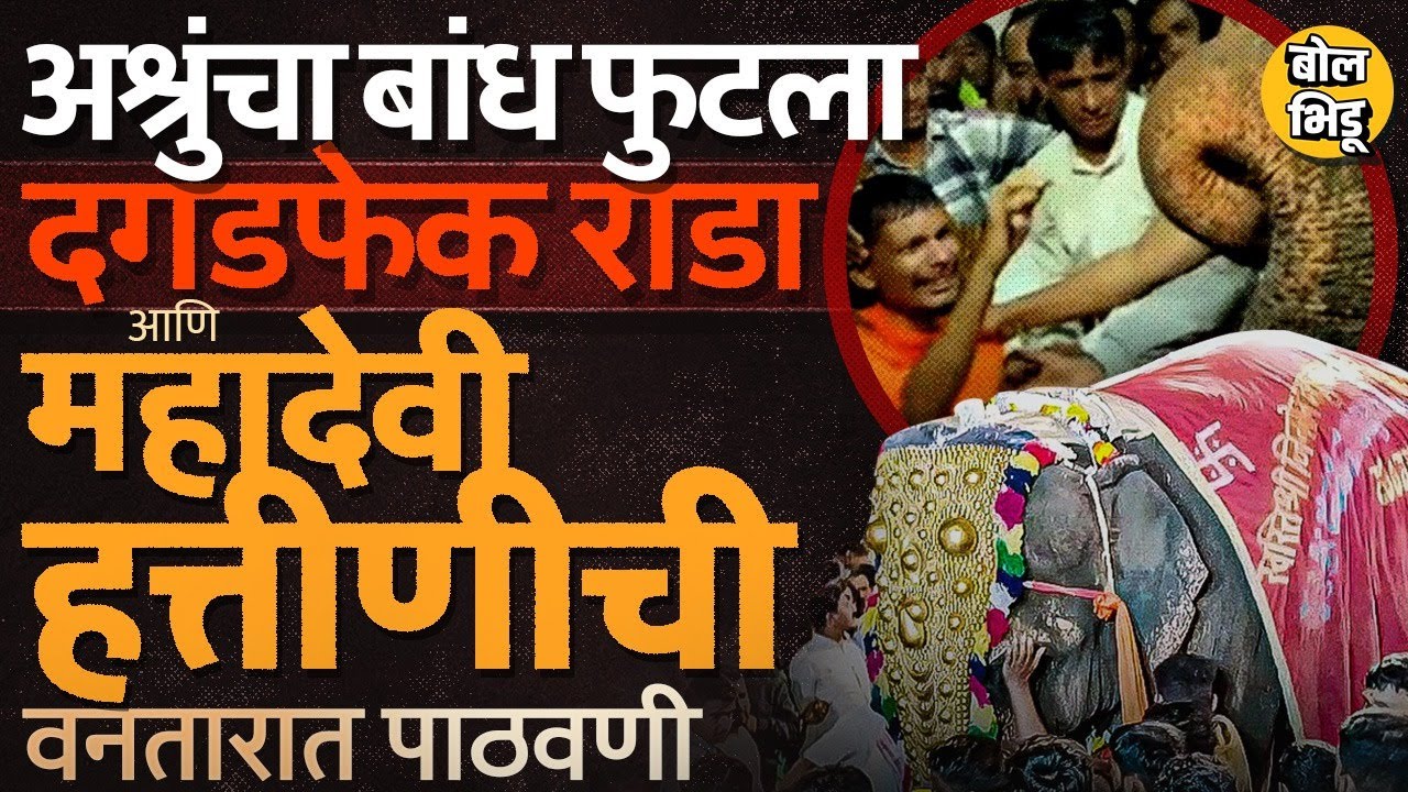 Mahadevi Hattin Kolhapur: लोकं रडली, पोलिसांच्या गाडीवर दगडफेक Mahadevi च्या निरोपावेळी काय घडलं?