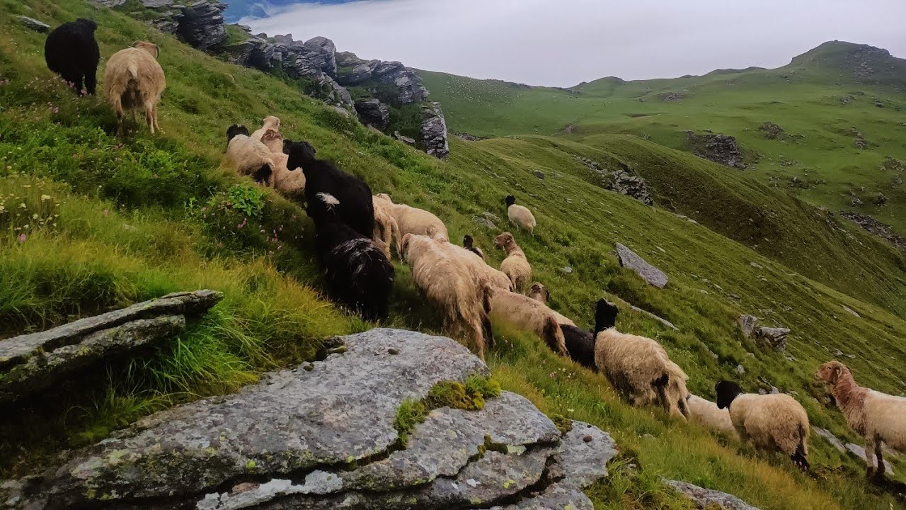 Nepal mountain Village Life During the Rainy Season l most people And relaxing Village Life 