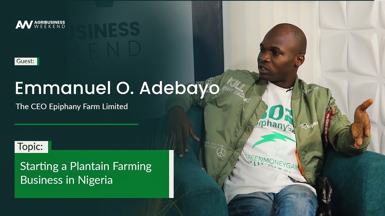 Starting a Plantain Farming Business in Nigeria