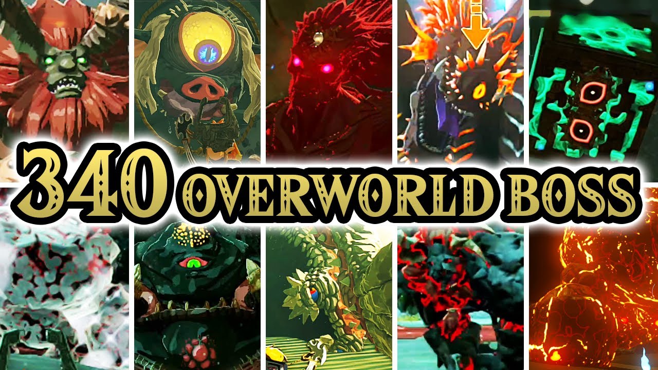 Zelda Tears of the Kingdom - All Overworld Bosses + Locations