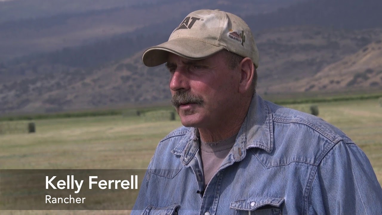 These Colorado hay meadows hold a key secret to helping restore the Colorado River