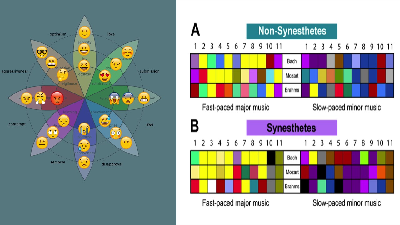 MusicWords - What is a Scale