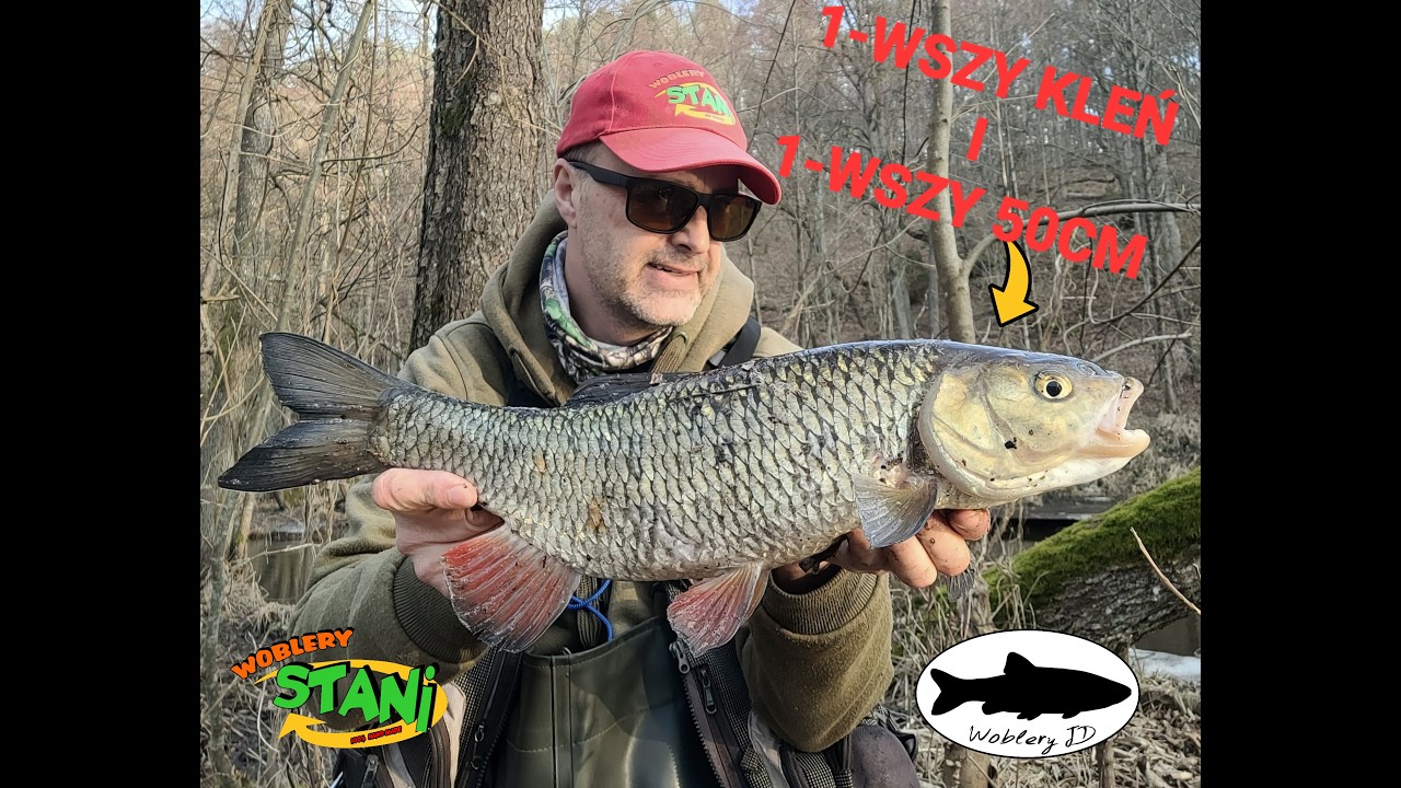 Kleń 50cm na rozpoczęcie 2026