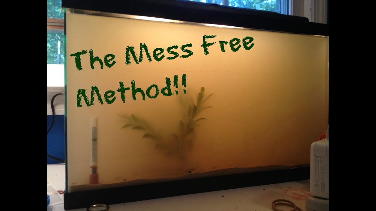 HOW TO: Add Sand to Your Aquarium / MESS FREE / DIY TUTORIAL
