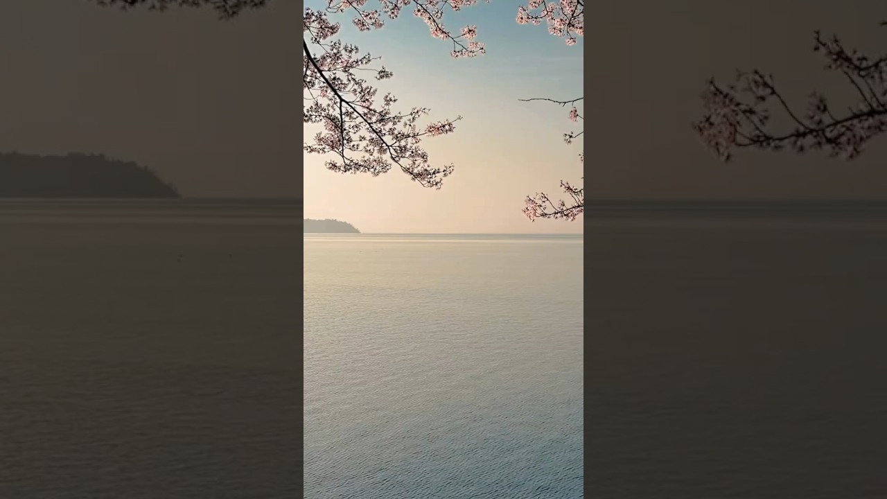 Sala #biblia #maombi #akilli #utafiti #kibali ##kilimo #burudani #rafikinani #injili #utamaduni