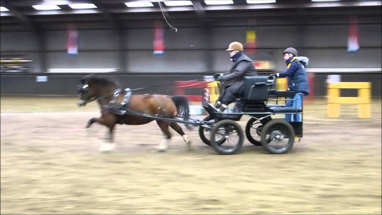 Vera & Maya mini marathon