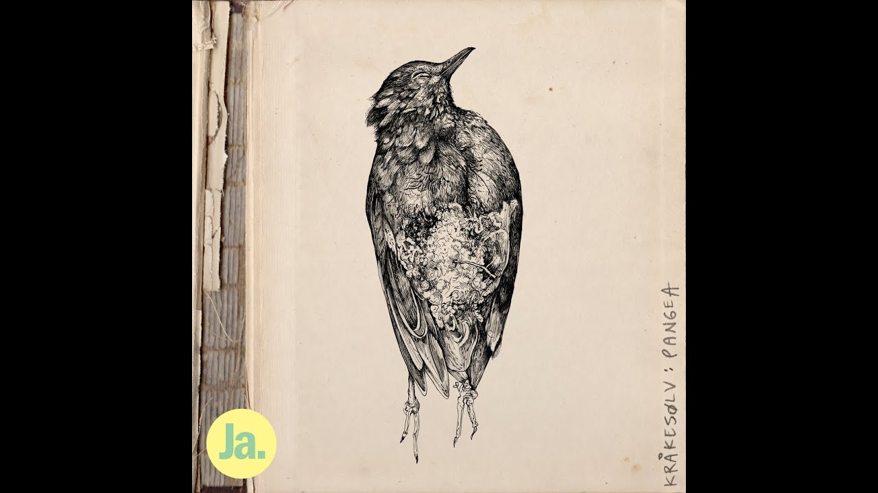Kr&aring;kes&oslash;lv - Vard&oslash;ger