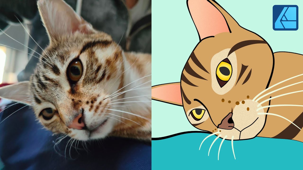 VETTORIALIZZARE una FOTO con AFFINITY DESIGNER