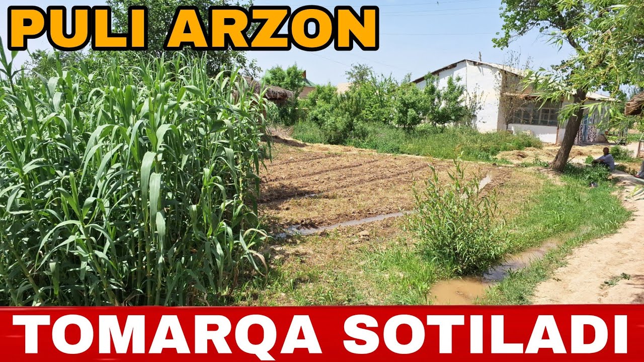 SURXONDARYO ANGOR KAYRANDA 6 SOTIX YER SOTILADI SOTILADI OLADIGANLAR ☎️94 367 82 88