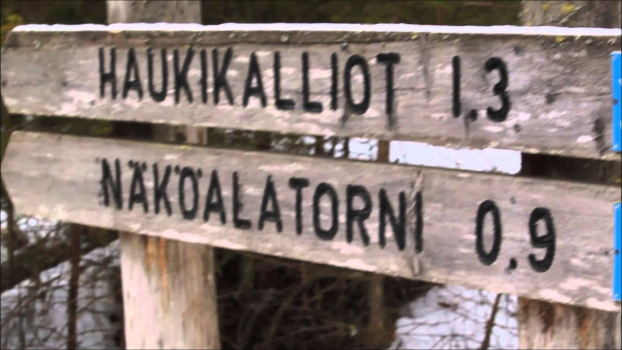 Riuttaskorven virkistysmets&auml; 19.03.2016