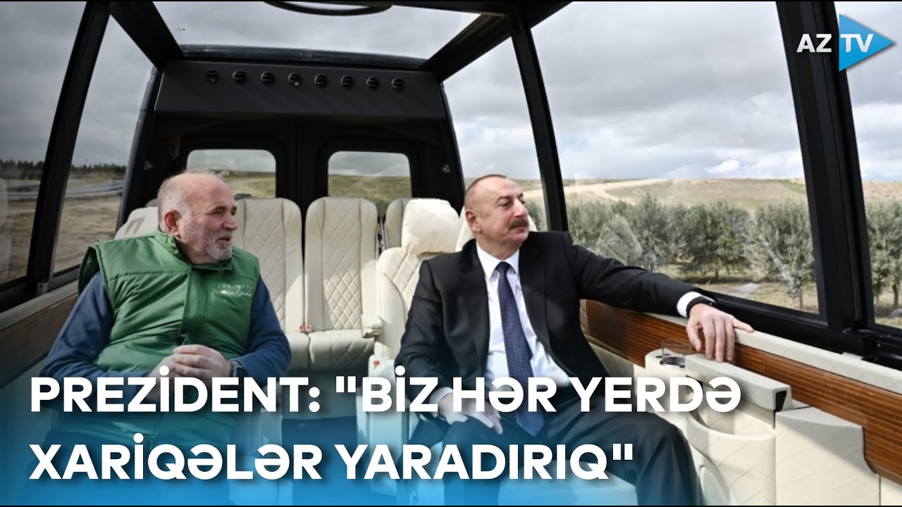 Prezident zeytun bağlarını gəzdi: 