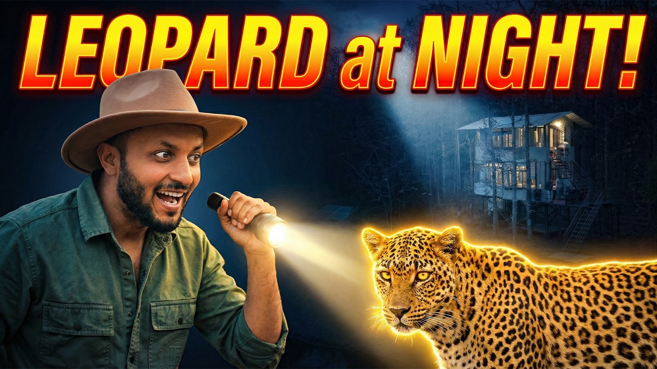 Full Night With Leopard | Rukhad Jungle Camp | Pench