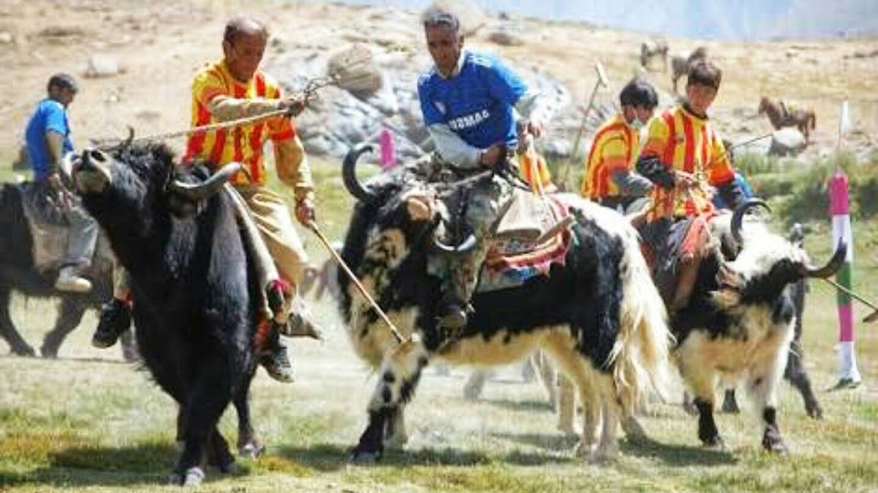 Broghil Valley Chitral Pakistan | Yak Polo in Broghil National Park | #travelvlog #broghilvalley