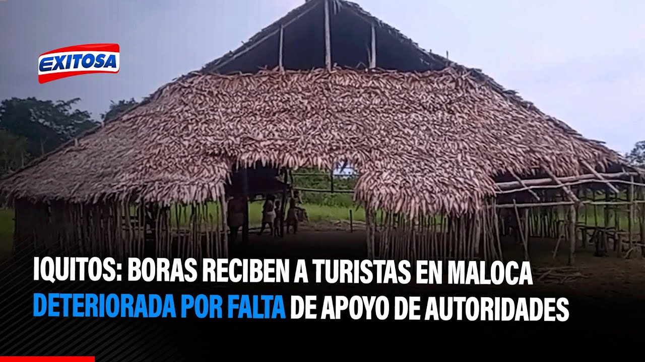 🔴🔵Iquitos: Boras reciben a turistas en maloca deteriorada por falta de apoyo de autoridades