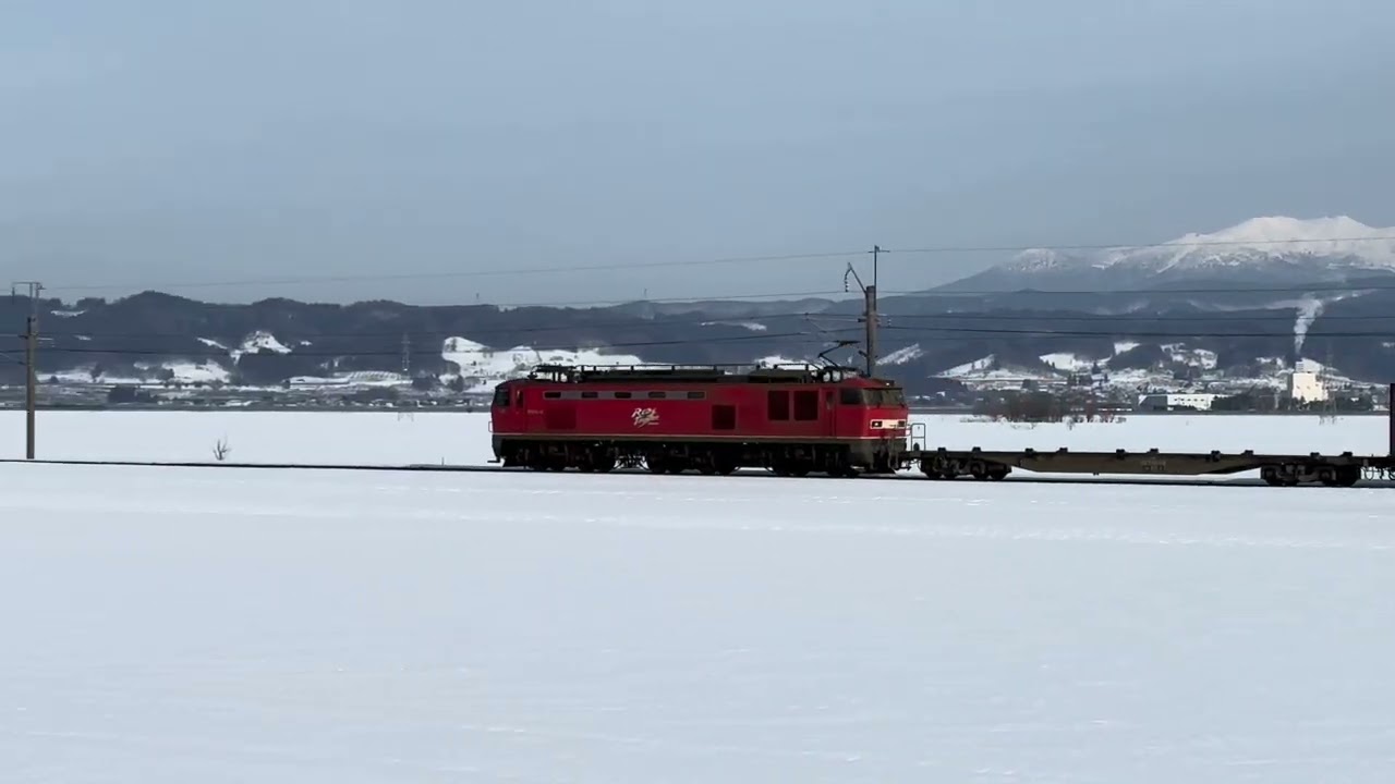 EF510-15🟥  4061レ 奥羽本線  北常盤-浪岡　2026/2/25 #EF510  #レッドサンダー