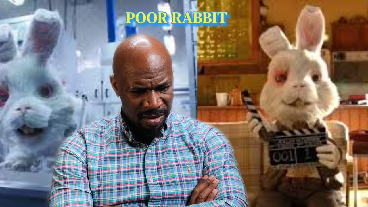 Poor Mr Rabbit | Save Ralph Reaction