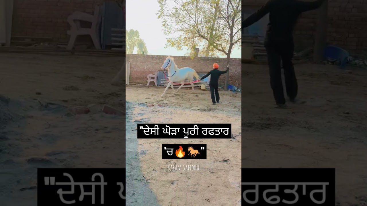 #, DesiHorse #horsepower #ghorarun#villagelife#karamjeetsingh