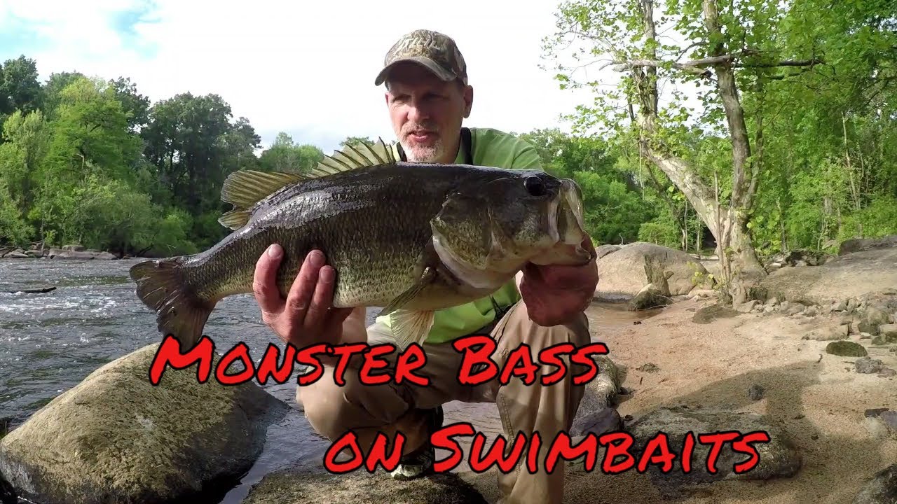 Epic!  2 Monster Bass on MegaBass Swimbait !