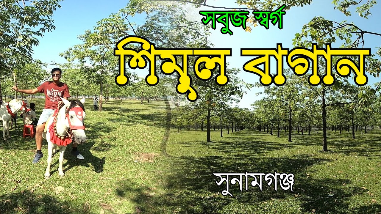 লাল সবুজের শিমুল বাগান | টাঙ্গুয়ার হাওর ভ্রমণ | সুনামগঞ্জ | Shimul Bagan | Sunamganj | Travel Around