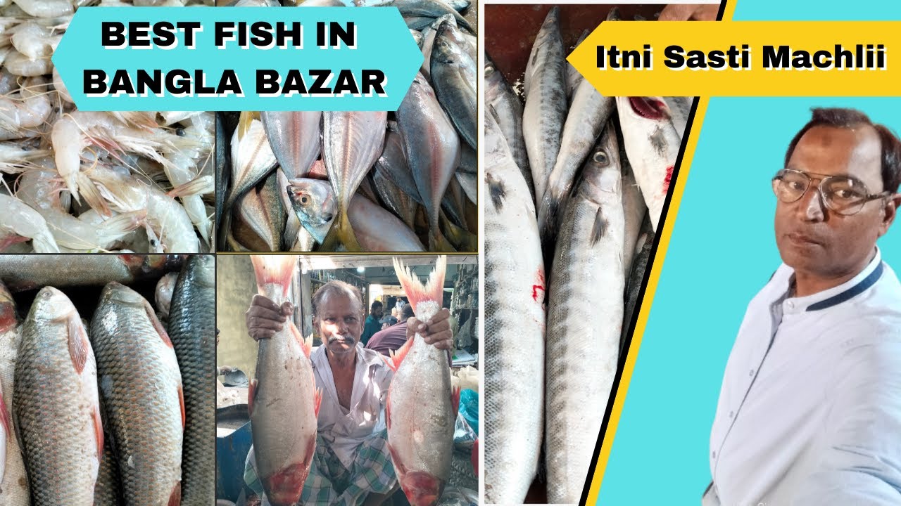 Sab sy sasti or Behtreen Fish in Bangla Bazar #bestfish #banglabazar #karachi #maqsooddiscoversworld