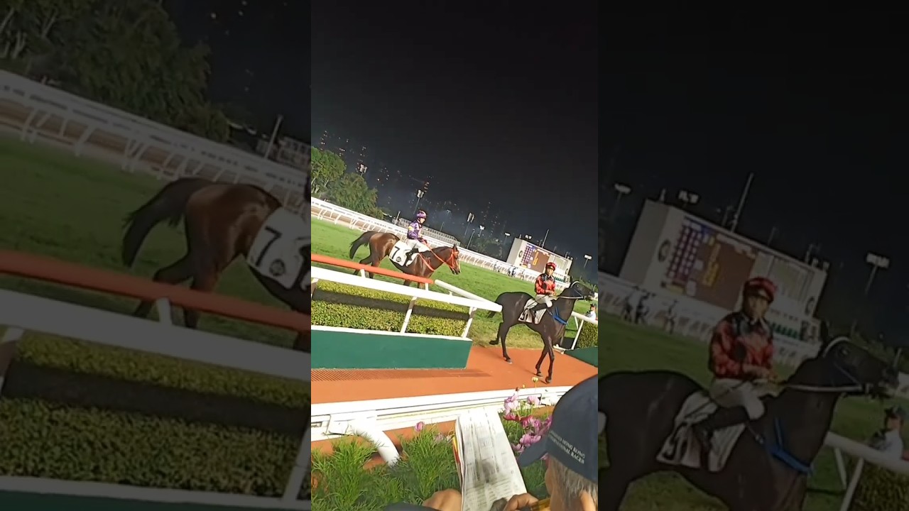 Hong Kong today, it's inside the racetrack at the Sha tin Jockey Club#jokeyclub#shatin#shorts