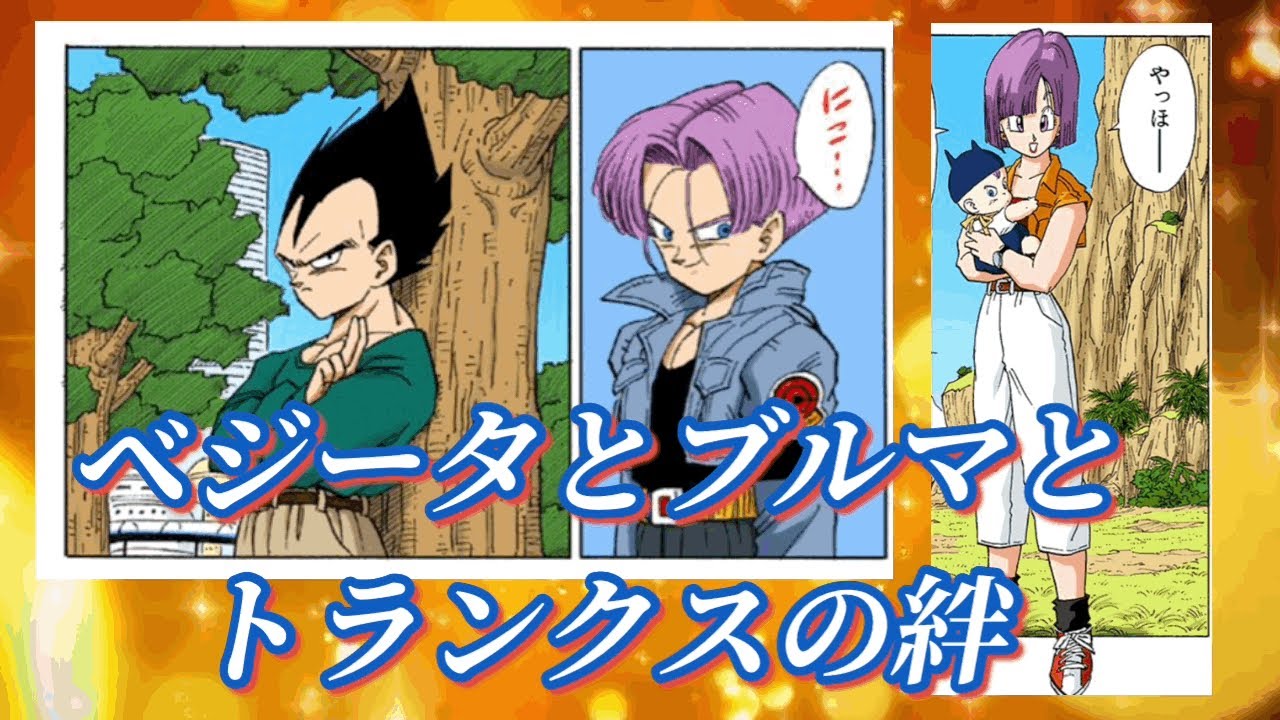 【時空を超えた親子】ベジータとブルマとトランクスの絆