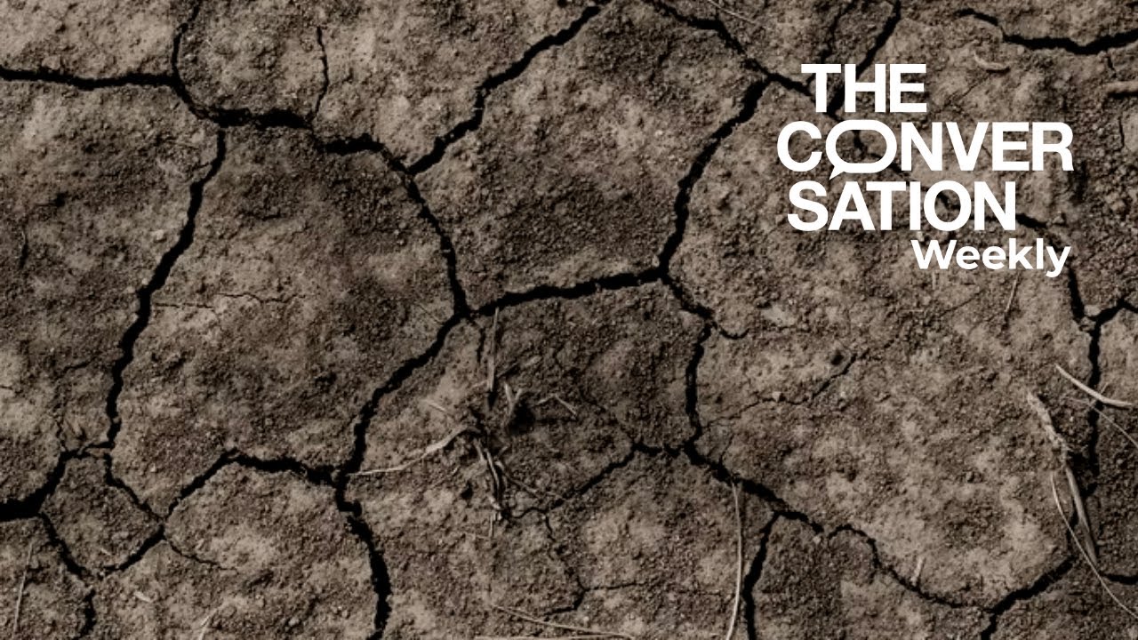 India and Pakistan heatwave is a sign of worse to come