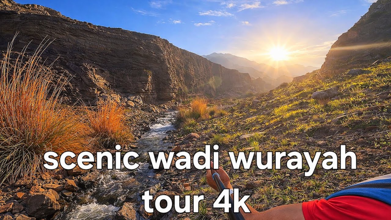 Scenic view of wadi wurayah #hikinguae #relaxing #uaeadventure #naturelovers 