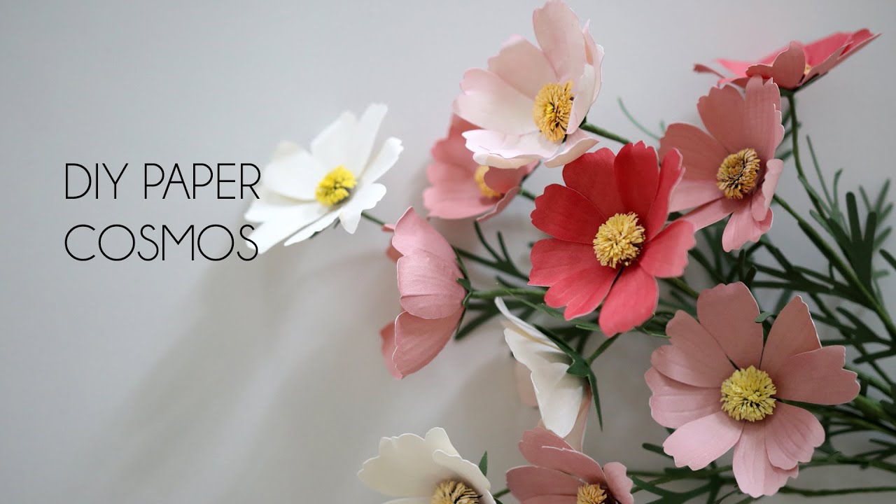 DIY How to make Paper Cosmos (Paper Flowers, crafts)