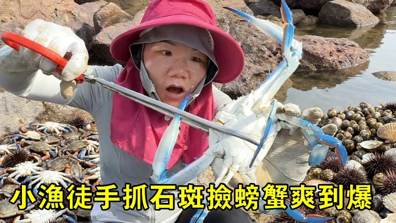 小漁趕海撞大運！紋頭螺快氾濫，徒手抓石斑撿螃蟹爽到爆【漁小仙】