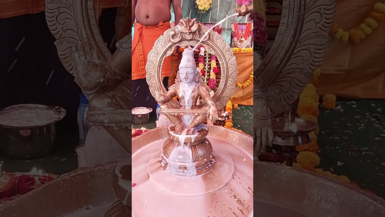 Ayyappa Swamy Abhishekam #ayyappa #ayyappan #swamy #ayyappaswamysongs #padipooja #trending #ytshort