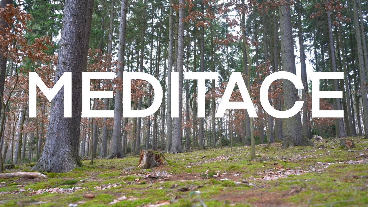 MEDITACE | Mluvené slovo, relaxace, očista mysli
