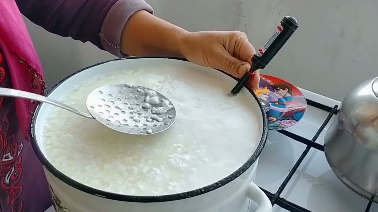 Қолдын сүзбесін ( творог) жасау жолы