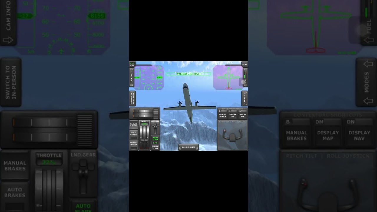 Charki-dadri mid air collision 