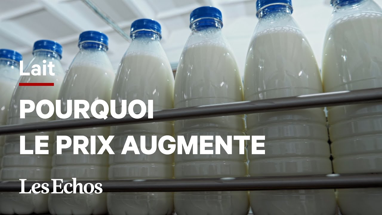 Pourquoi le prix du lait s'envole