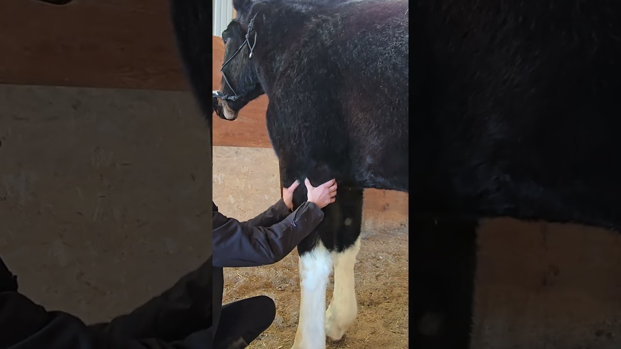 Foundation Strokes Evaluation for course 