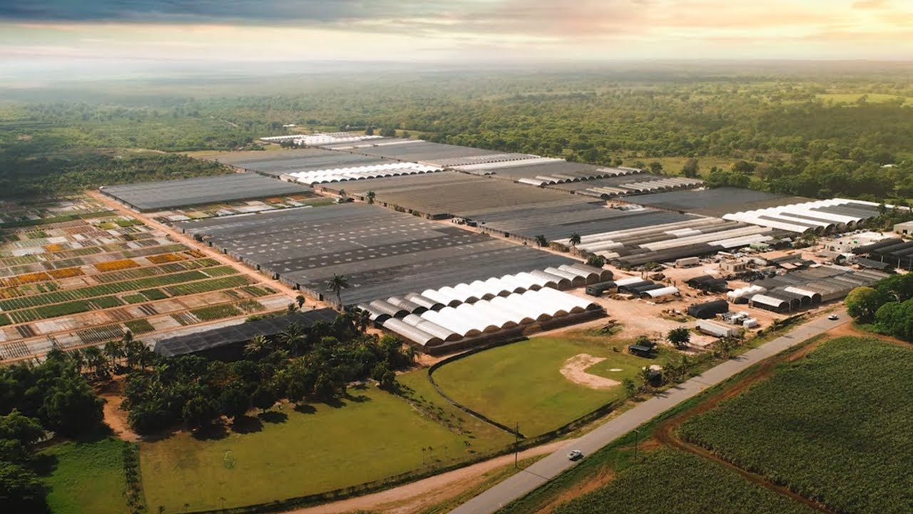 2024 Agricultural Environmental Award — Costa Farms