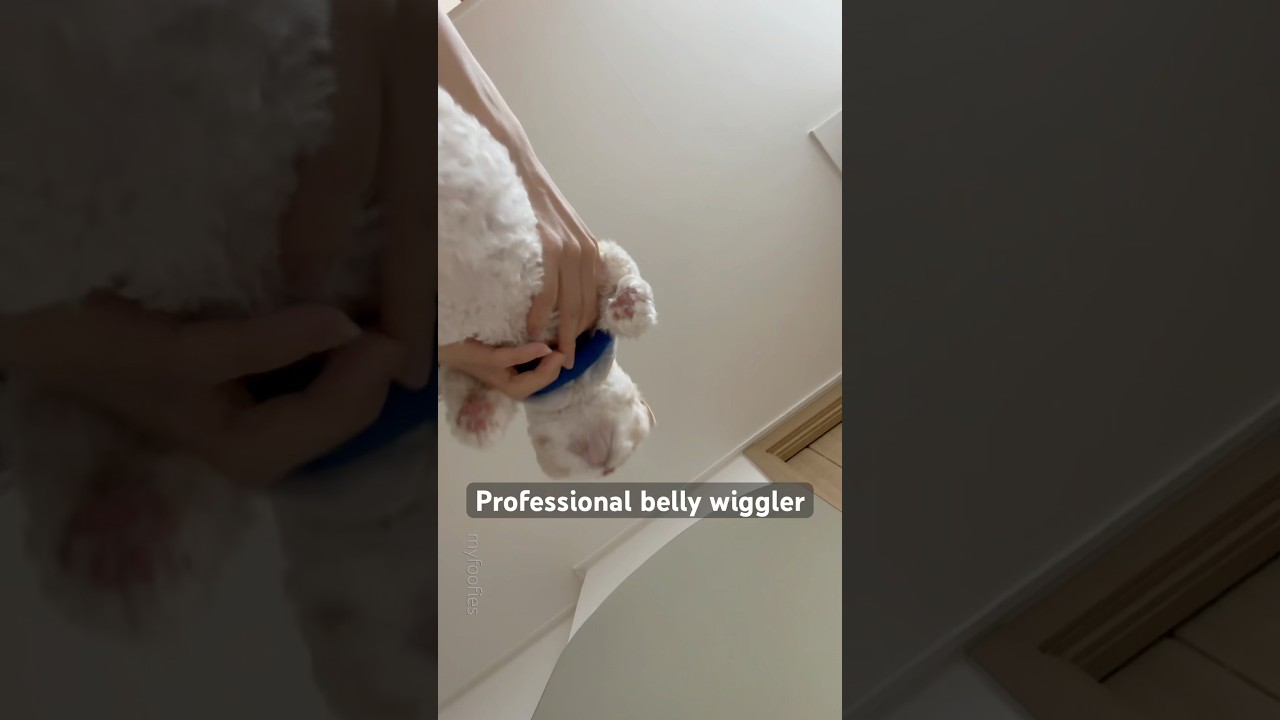 belly dancer training 💃💃