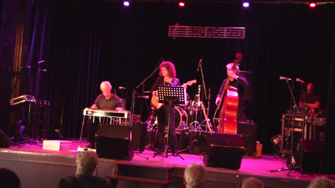 Hans 70 steelguitar party Oudewater Jan Visser