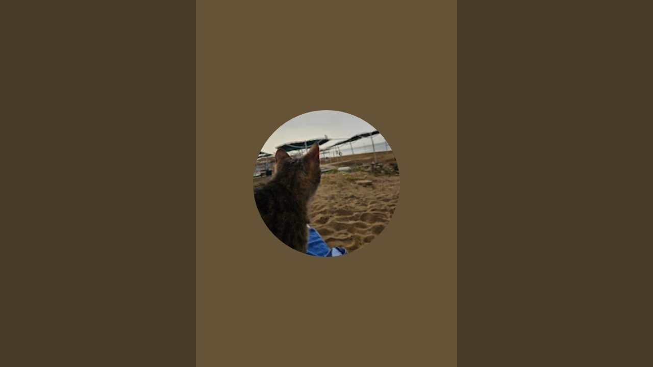 Письмо позвало в дорогу...