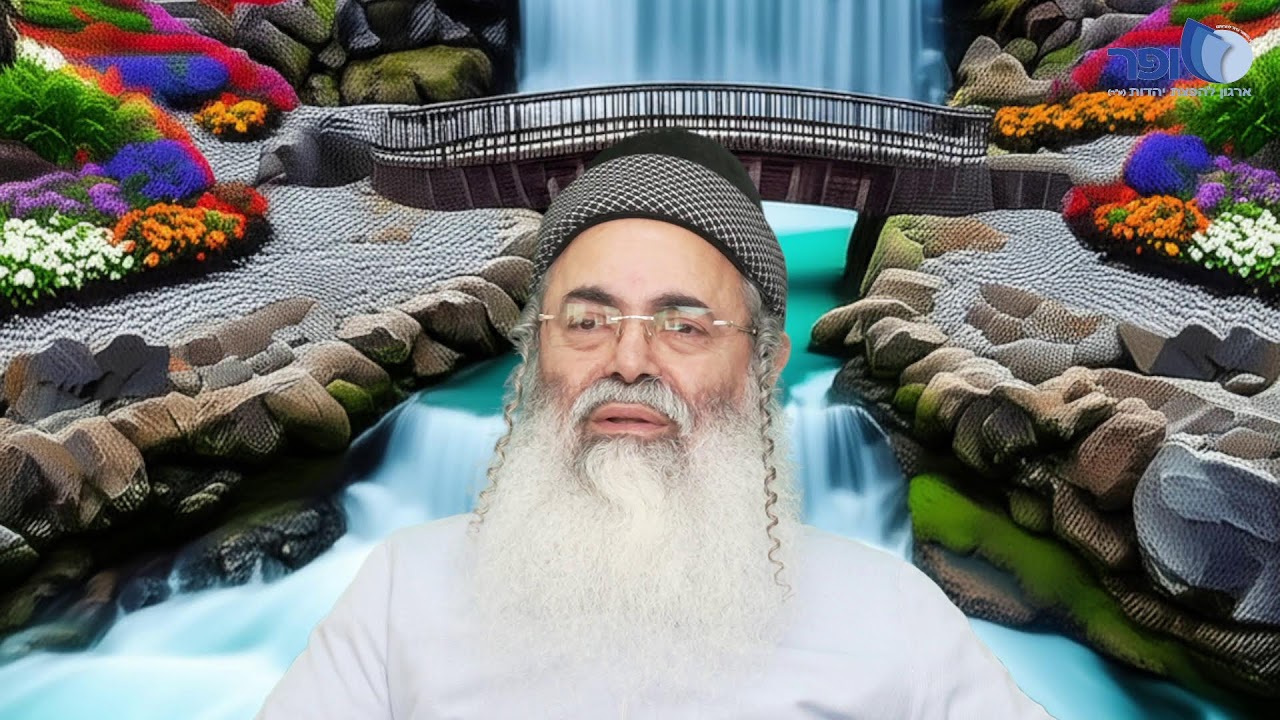פרפראות וחדושים לפרשת משפטים תשפו חלק ה'