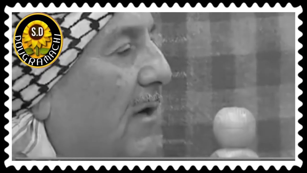 شهاب راديوجي