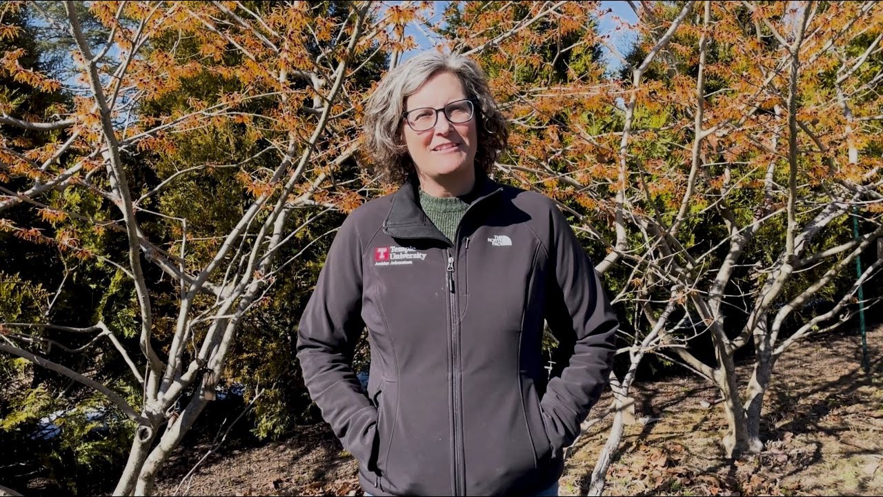 Ambler Arboretum EarthFest Green Career Week Profile: Kathy Salisbury
