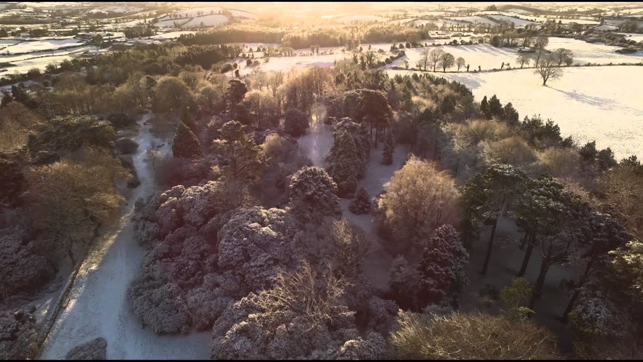 Rowallane Gardens In The Snow